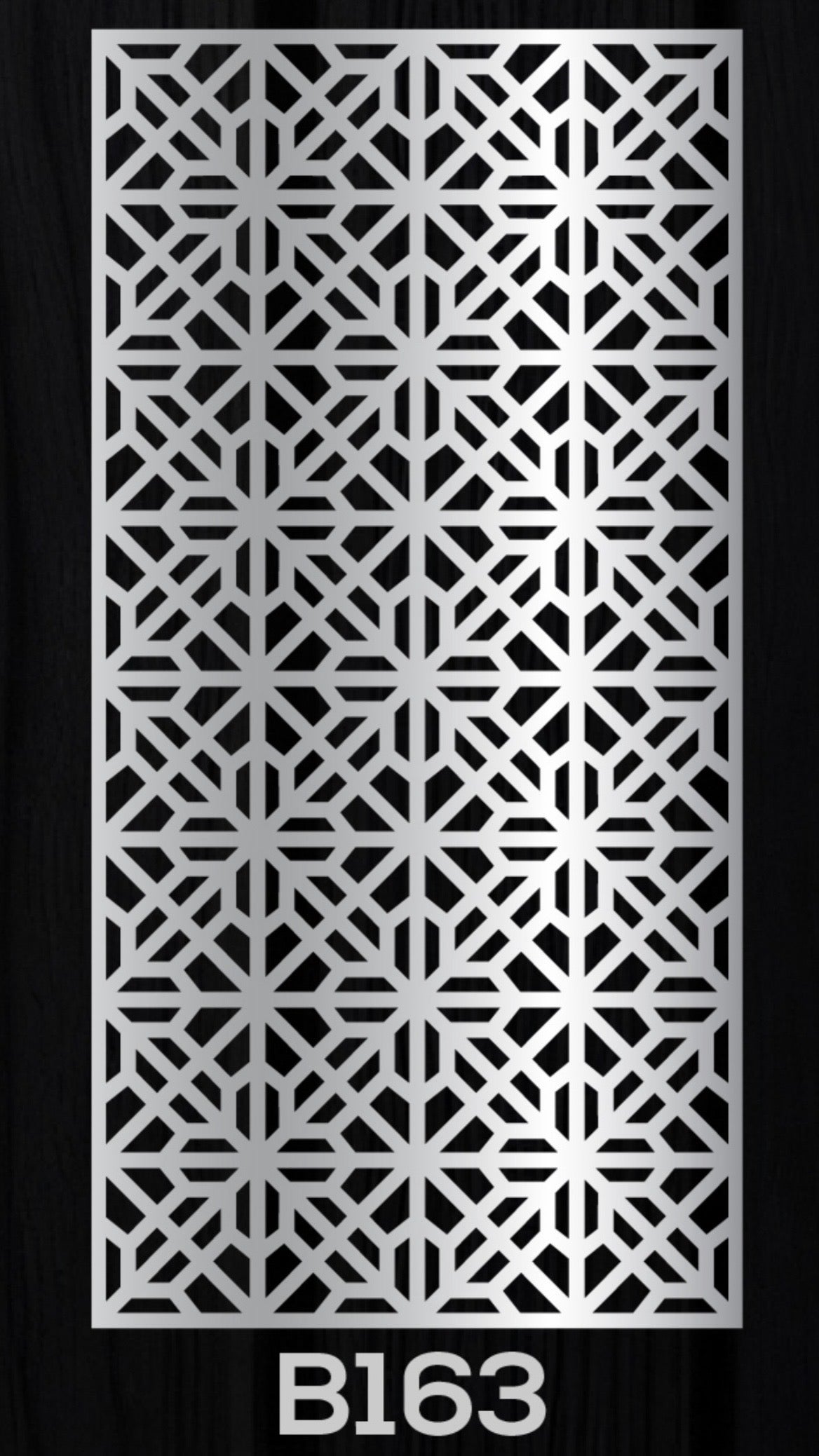Panel 163